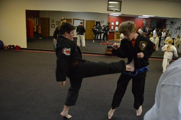 Steiner Academy of Martial Arts Llc