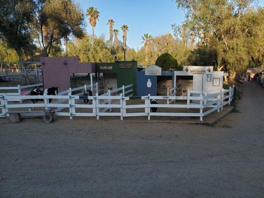 Peter Weber Equestrian Center