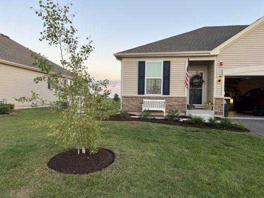 Mulch and edging