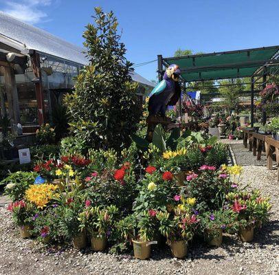 Holly Days Nursery Garden Center