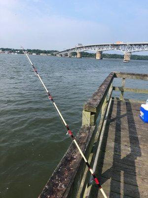 Fishing on a nice day