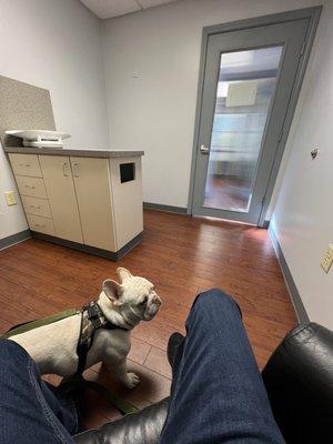 Belle Isle Animal Hospital