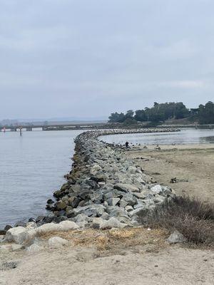 1k birds on jetty!