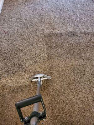 Carpet cleaning Greeley, fort Collins, loveland, windsor, johnstown, eaton, lasalle, platteville, and other communities near me