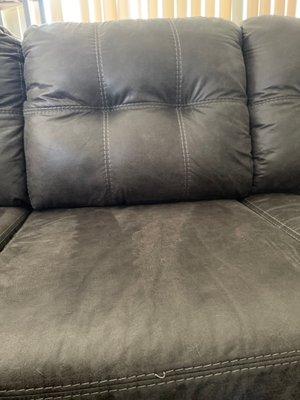 My couch was once full of dog hair