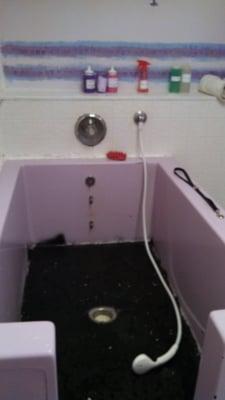 One of the bathtubs. Not pictured - awesome blow dryer. Much easier to keep hold of my dog in this tub!