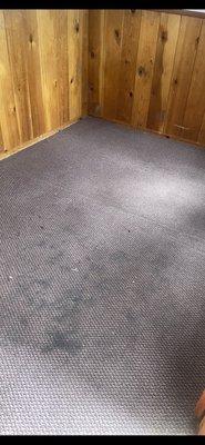 Disgusting bedroom carpet