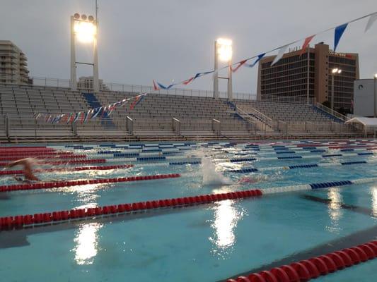 Swim Fort Lauderdale