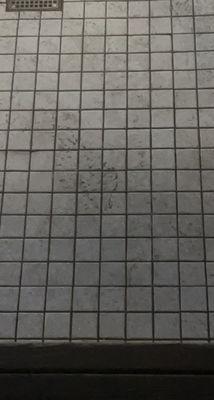 dirty floors at 24 hr fitness North Fontana