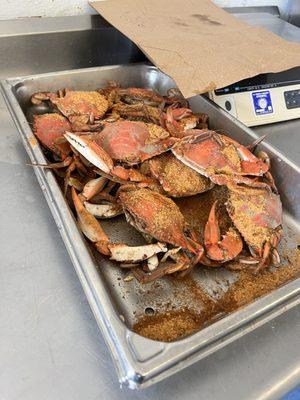 Blue large crabs