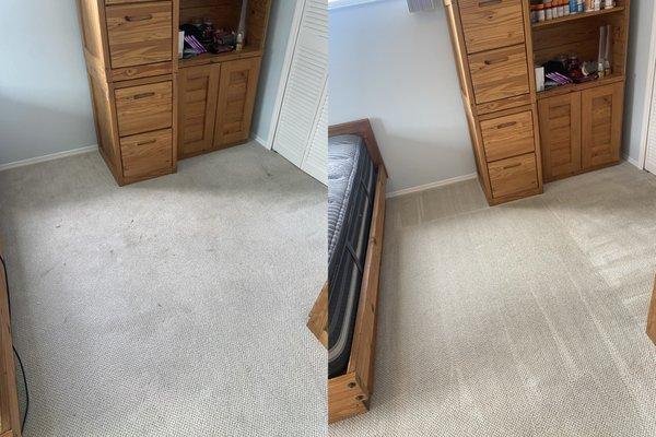 Carpet Cleaning