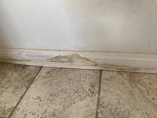 This is the baseboard behind the washing machine where there was supposedly NO leak three weeks earlier....