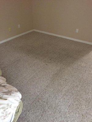 Bedroom carpet half cleaned.