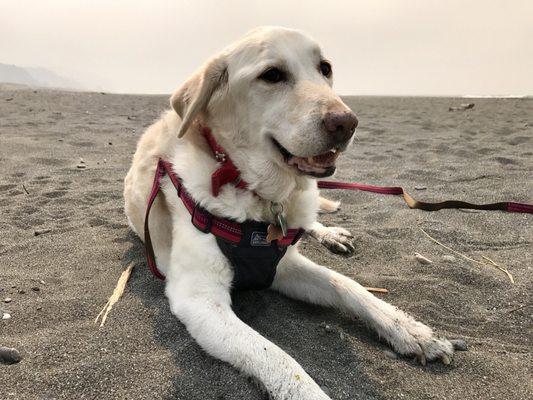 At the beach in Oregon last month