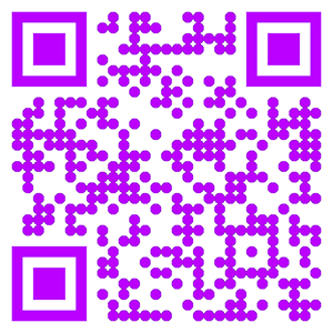 thepaperworkqueen.nyc QR Code