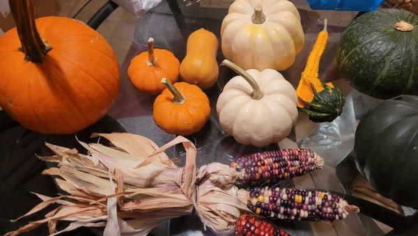 Squash, decorative corn and sugar pumpkins.