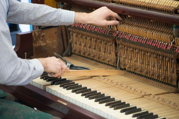 Nat regulating a piano