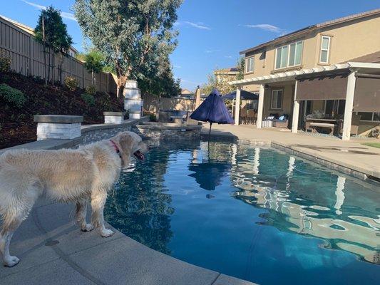 Lily loves her new pool