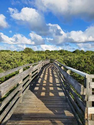 Many boardwalks to the ocean.