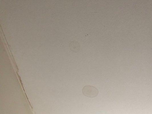 Water damage on my ceiling RIGHT UNDER the spot where they damaged my roof