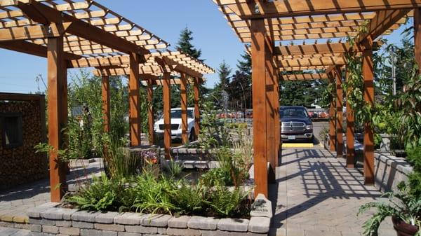 Courtyard garden