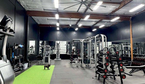 Train with Milo in his all-new 2,000 sq ft private, personal training gym featuring state-of-the-art equipment.