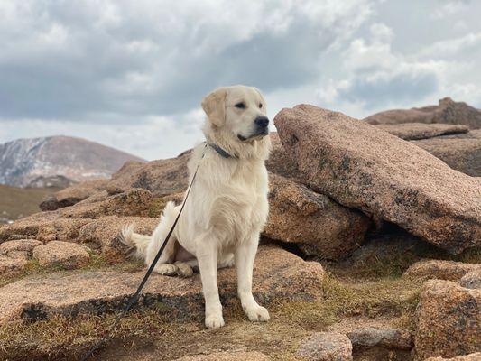 We took him for a trek, breeze after his training