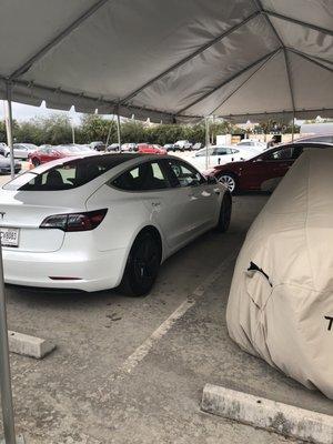 Picking up my Model 3 1/30/17