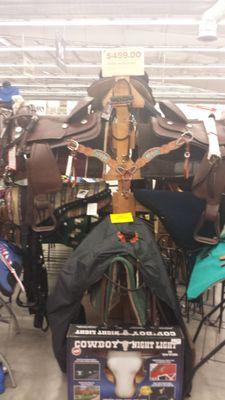 All sorts of horse gear!