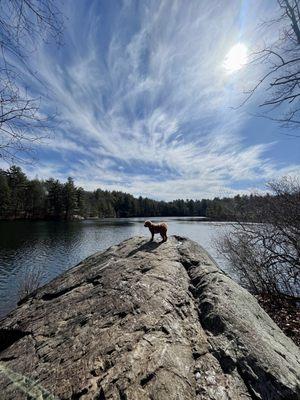 Great spot for a dog walk