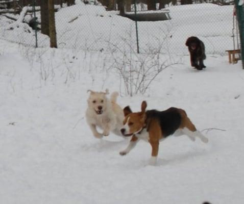 Yippee! Snow!