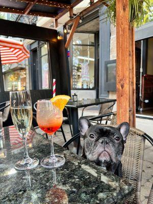 Aperol spritz on a dog friendly patio