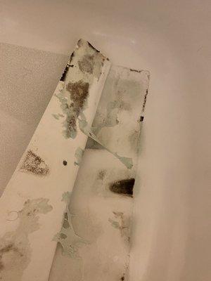 Additional mold, mildew, and filth.