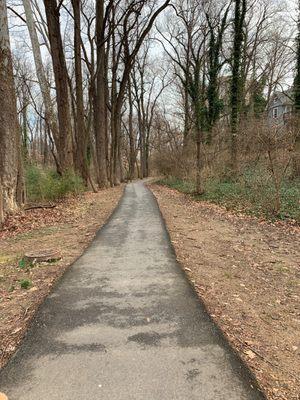 Clean paths free of rubbish and dog poop