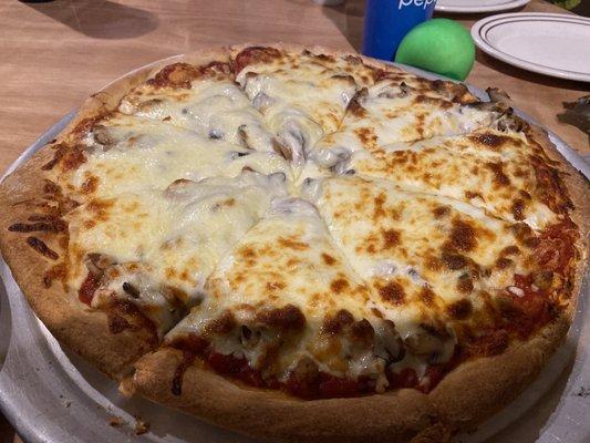 An everything added pizza. Onions, sausage, mushrooms, pepperoni, green peppers.