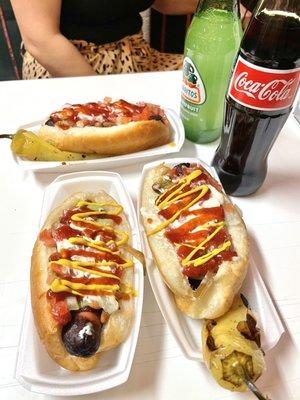 Soñoran Dog