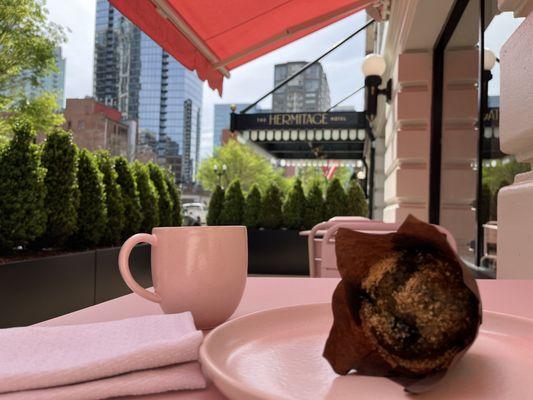 Cappuccino and green matcha vegan blueberry muffin! All surrounded by beautiful hints of pink.