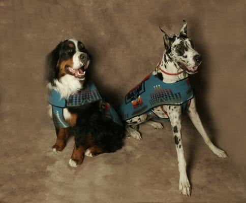 Our signature Pendleton dog coats