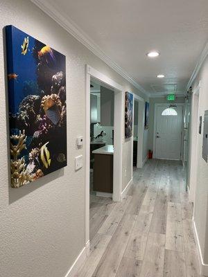 Office hallway