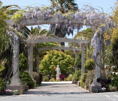 Garden Walkway