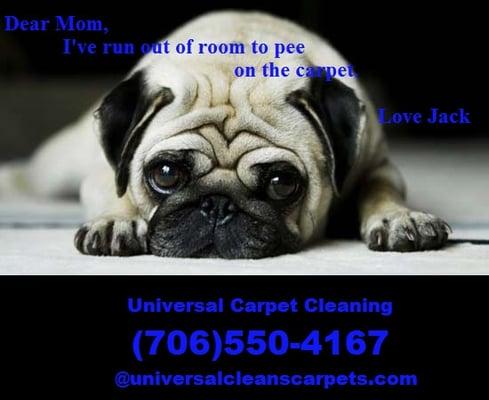 Universal Carpet Cleaning