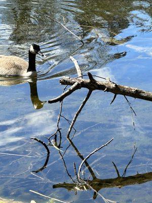 Johnson Nature Center