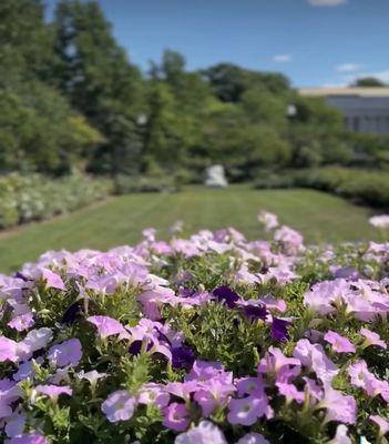 James P Kelleher Rose Garden