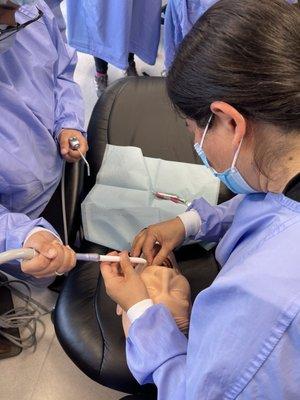 When they say Hands-On, it's really HANDS-ON taught by Dentists!