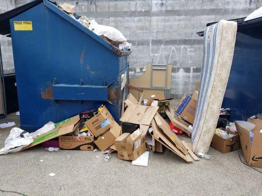 There are TWO recycling bins for over 300 apartments.