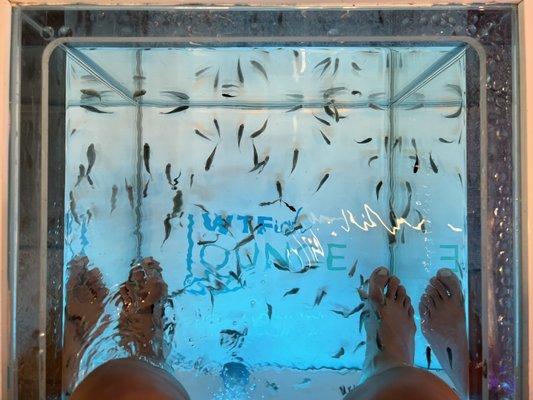 Fish Pedicure... Such an Amazing Experience! Feet Ready! Thank you Bayan