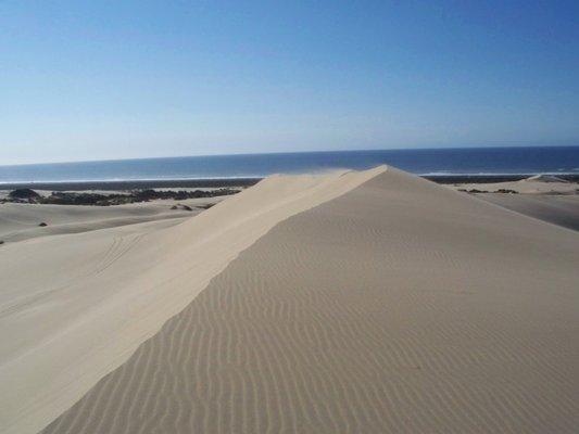 Our beautiful Oregon Dunes !