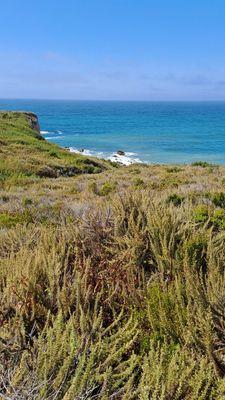 Bluff Trail at Montana De Oro