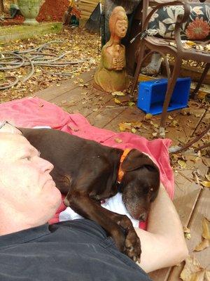 Peacefully waiting on the Doctor at our home. Remington was comfortable while waiting.