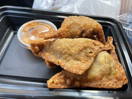 Latin Wontons (4)